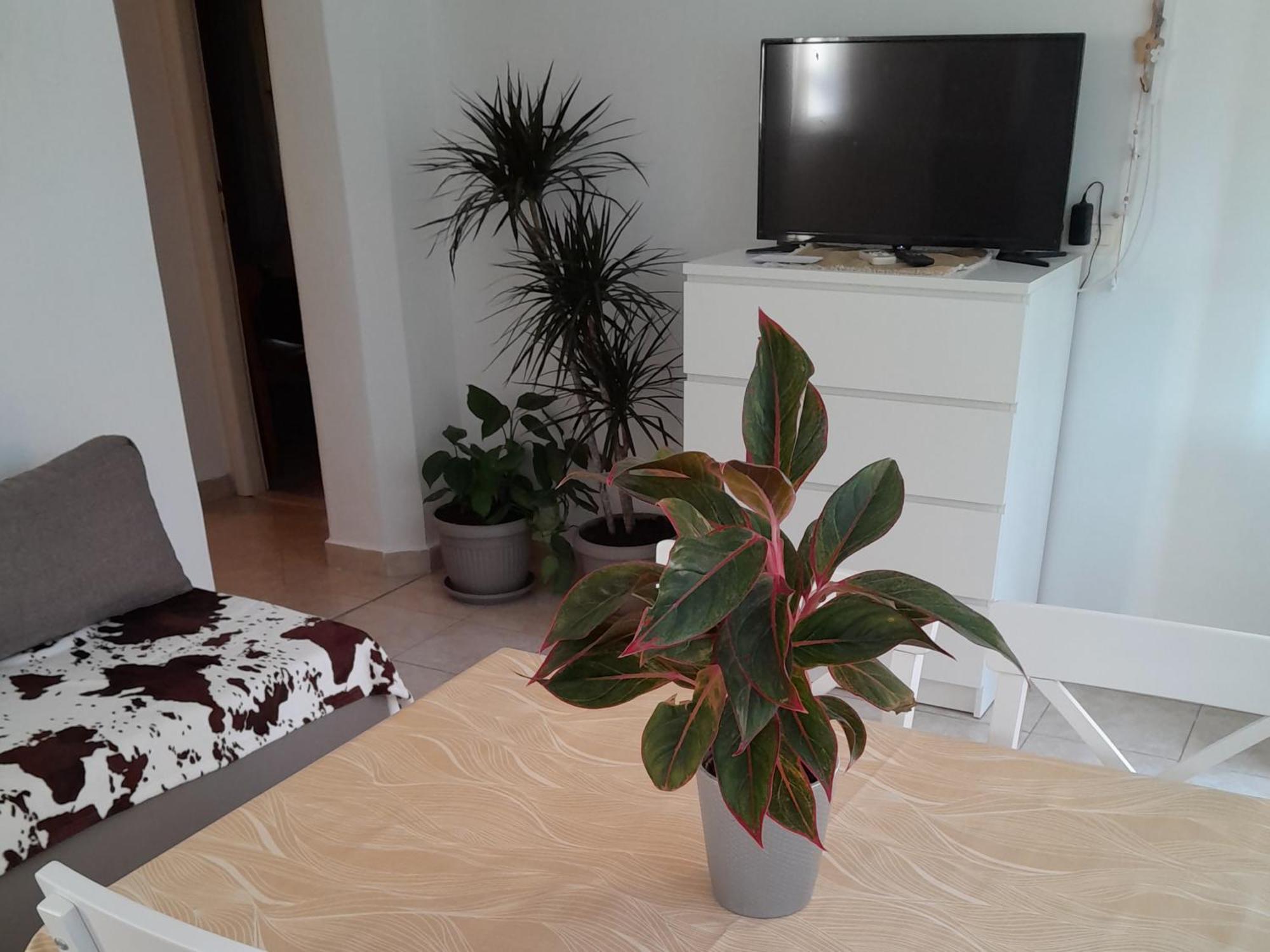 Apartments Viganj Dış mekan fotoğraf